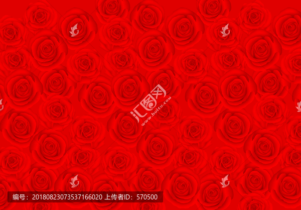 玫瑰花墻