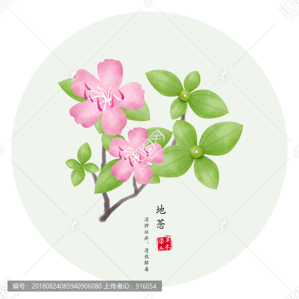 手繪地菍