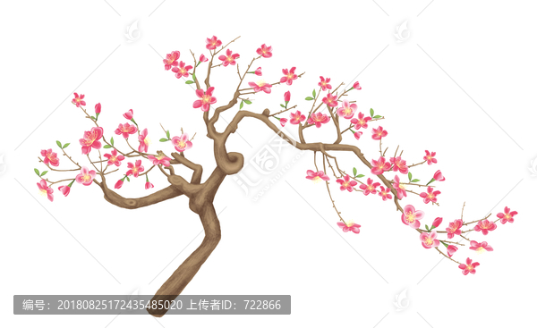 梅花