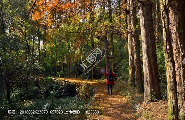 大宋山风景区