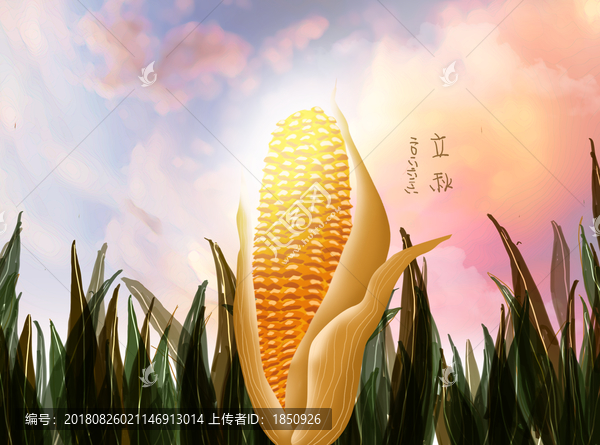 插畫玉米海報
