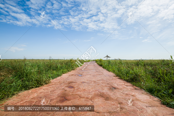 道路