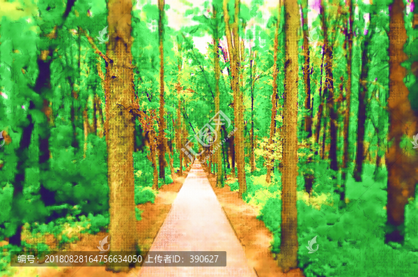 森林小路装饰画