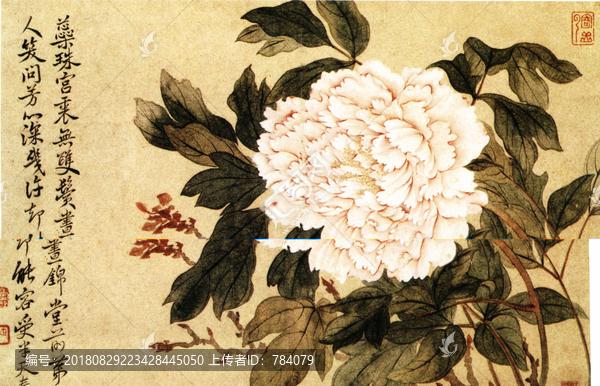 惲壽平（花卉牡丹圖）