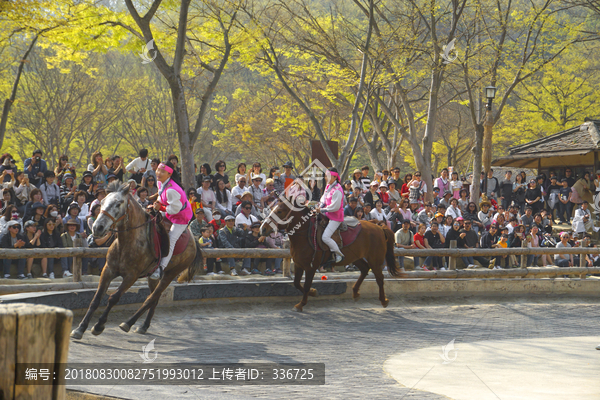 韩国传统骑术女子表演