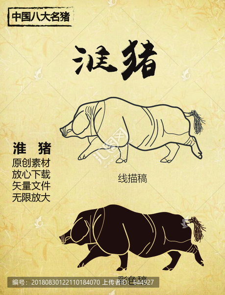 中國八大名豬之淮豬