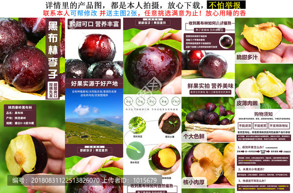 黑布林李子詳情