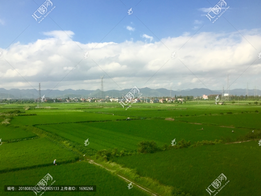 田野