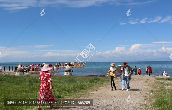 青海湖风景