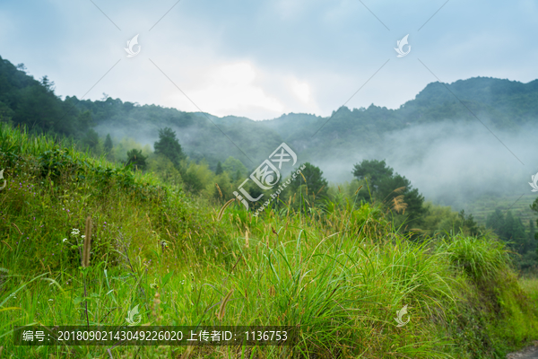 山区早晨