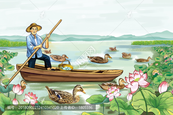 麻鴨鴨蛋插畫(huà)微山湖南四湖