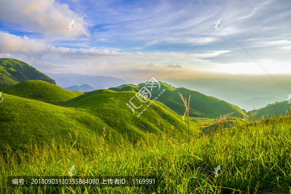 美丽的草原