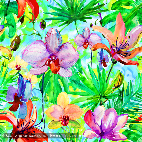 花朵抽象幻彩