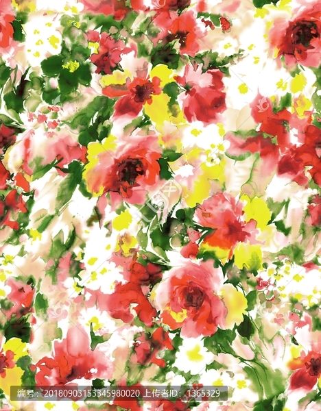 花朵花卉