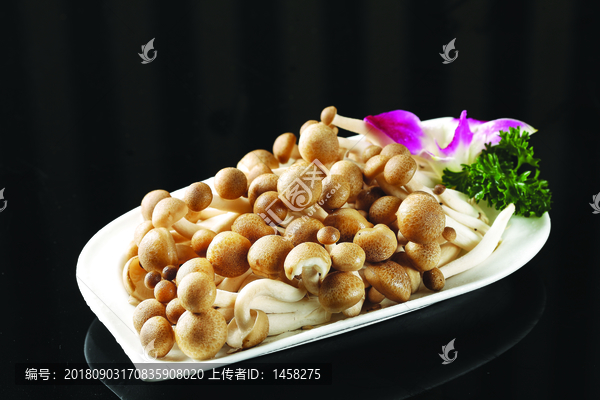 蟹味菇