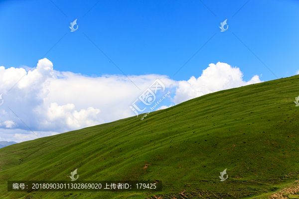 四川甘孜藏区高原草原风光