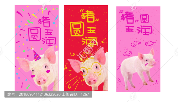 卡哇伊豬