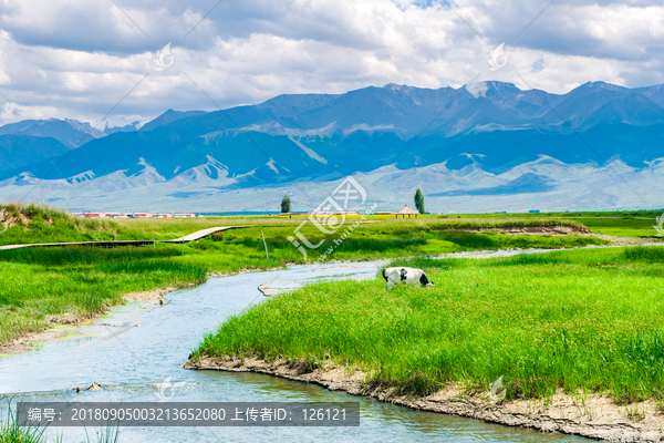 高家湖风光