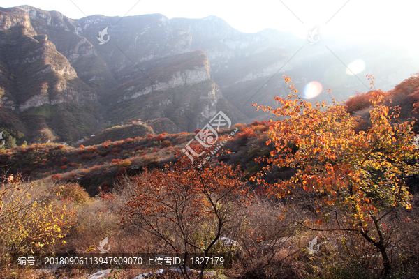 坡峰岭