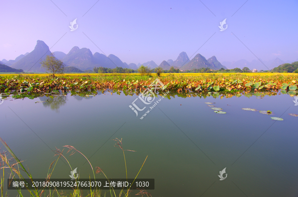 美丽风景