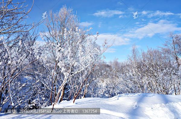 雪花