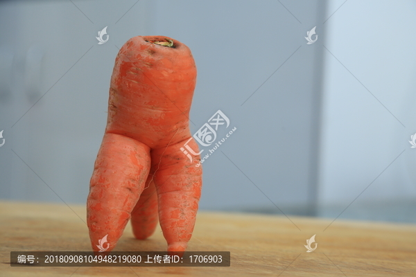 蔬菜萝卜