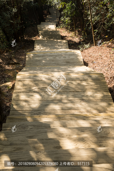 丹霞山风景区光影斑驳的石板路