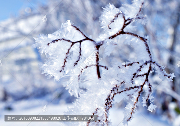 雪花