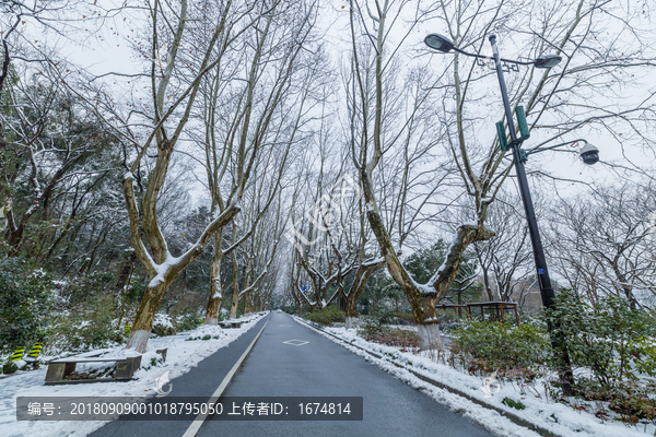 杭州雪景