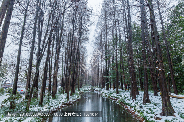 西湖雪景