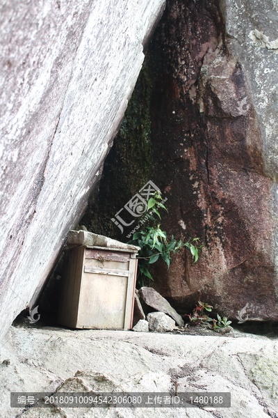 山林里的蜂箱养蜂人野生蜂蜜