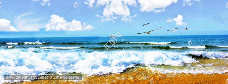 大海海鷗裝飾畫(huà)