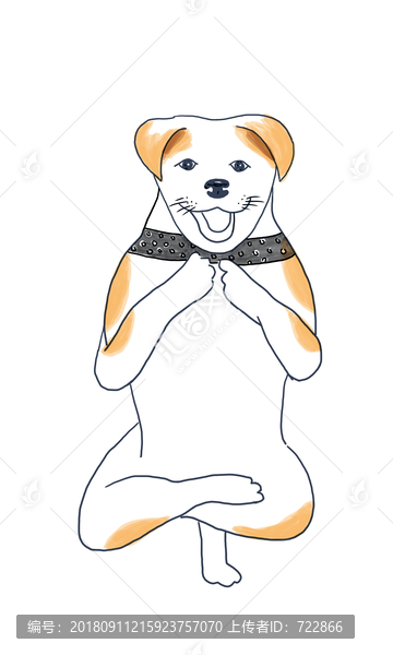 可愛狗瑜伽健身