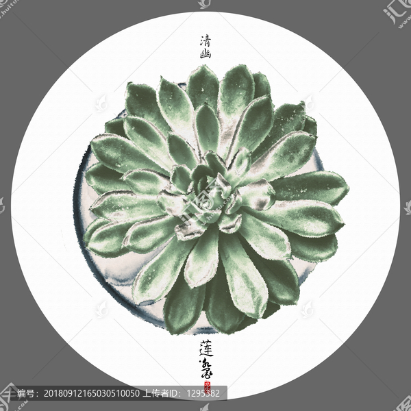 多肉觀音蓮