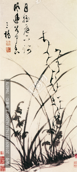 文彭蘭花圖
