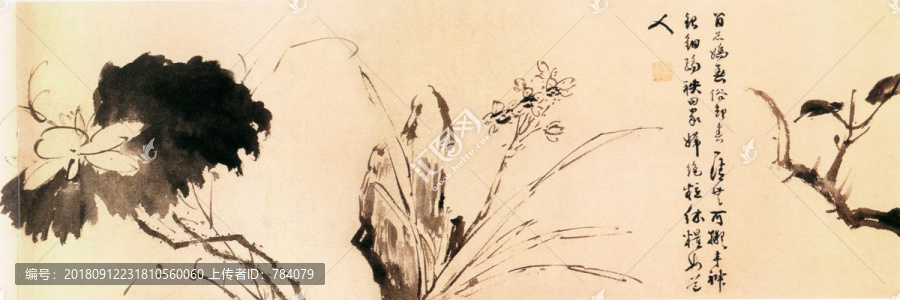 徐渭水墨花卉圖