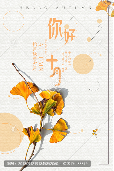 你好十月