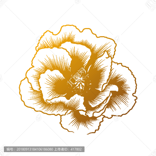 金色花朵