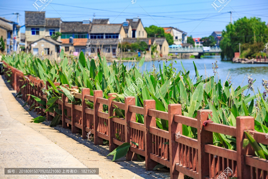 乡村河流