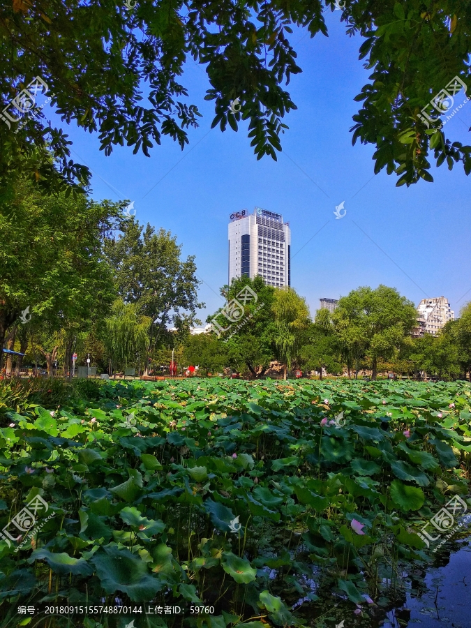 湖畔风景