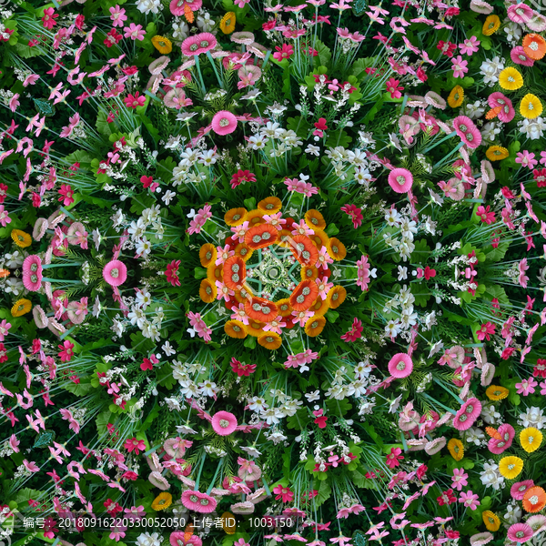 鮮花拼花對稱圖案素材