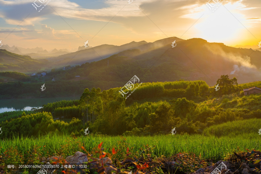 唯美风景