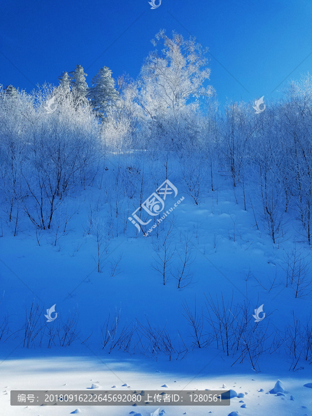 雪景