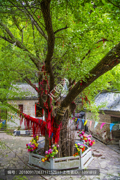 枣庄抱犊崮风景区三清观