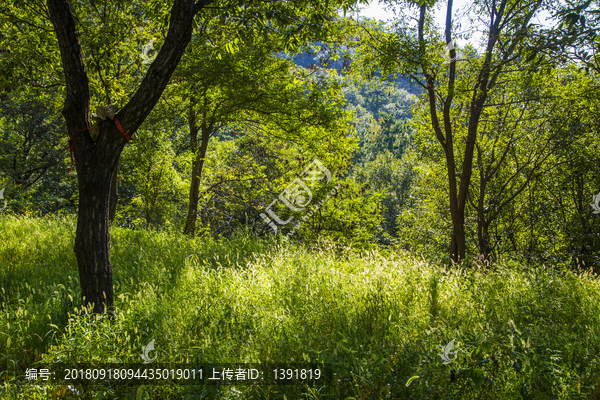 沂蒙山旅游区龟蒙景区