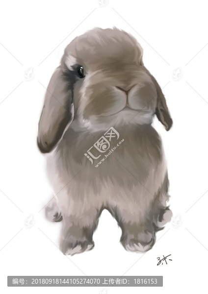 兔子