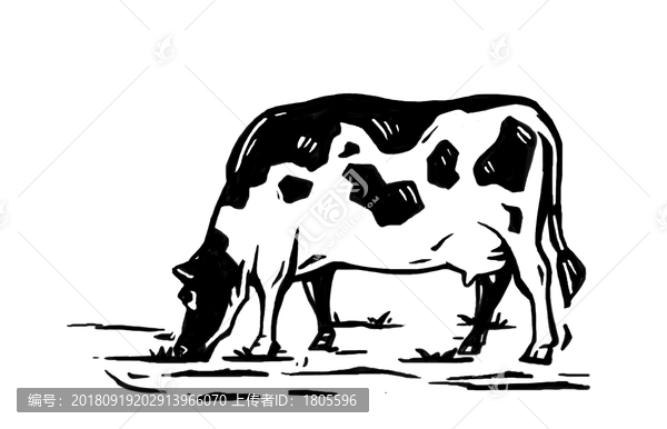 奶牛插畫