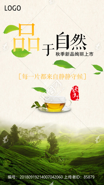 茶海報(bào)