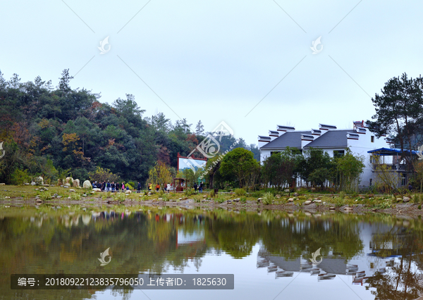 金家湾新农村景区