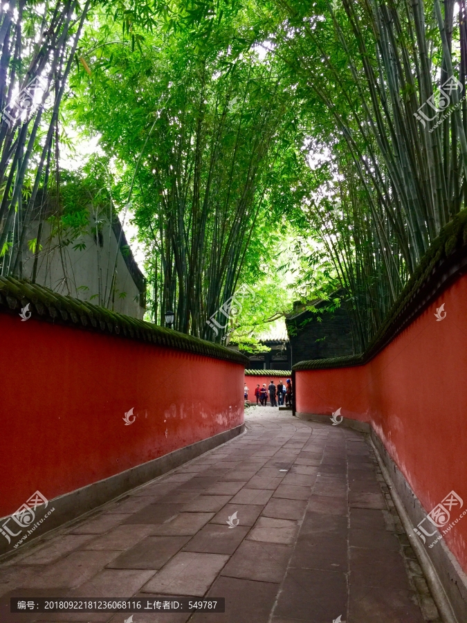 红墙竹子
